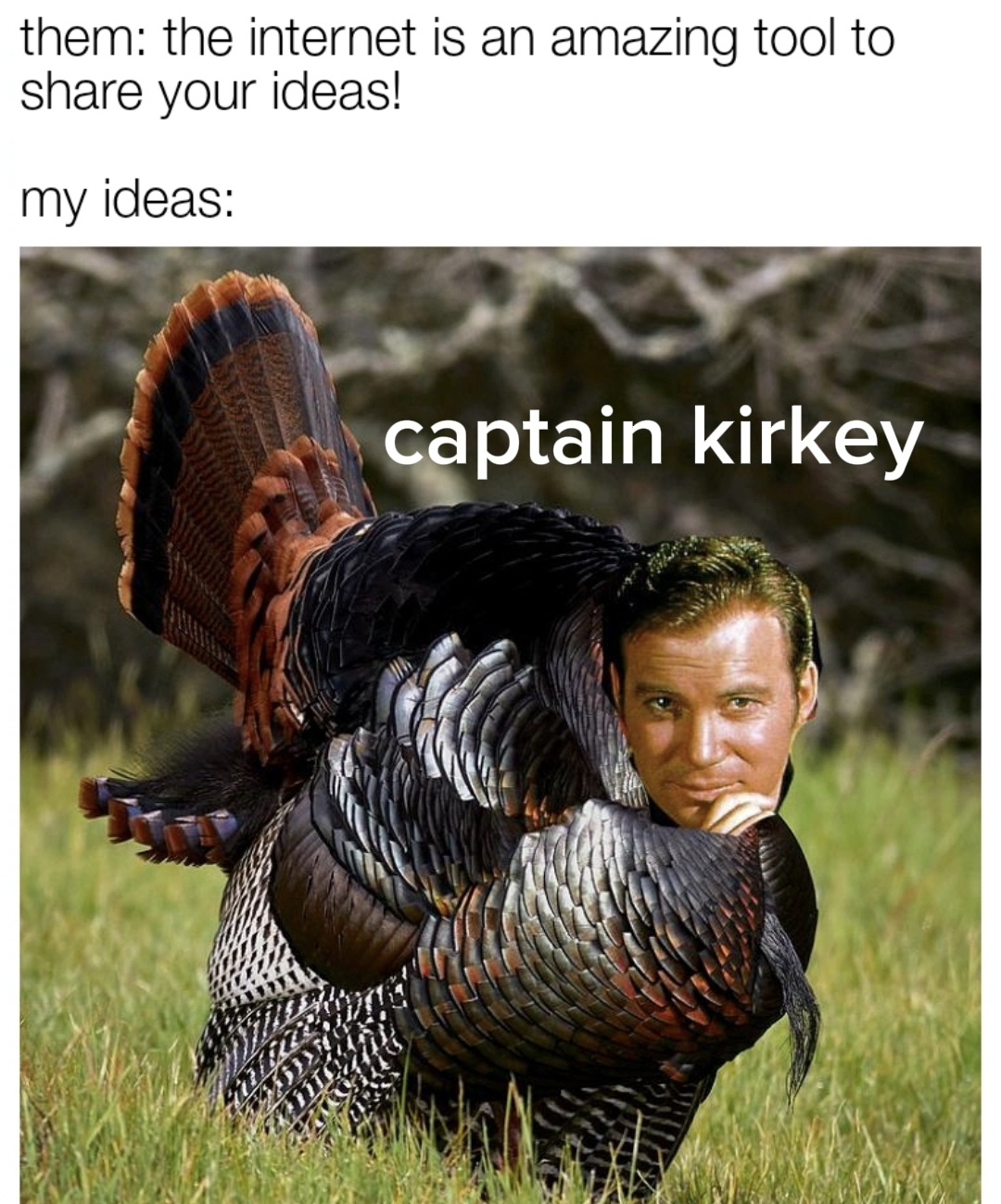 Wishing everyone a wonderful Thanksgiving!