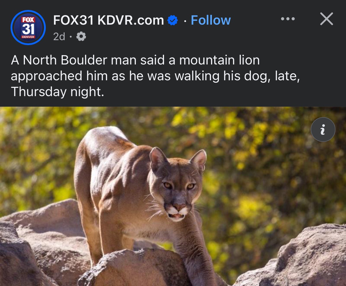 There's Definitely a Punchline Here, I Can Feel It!