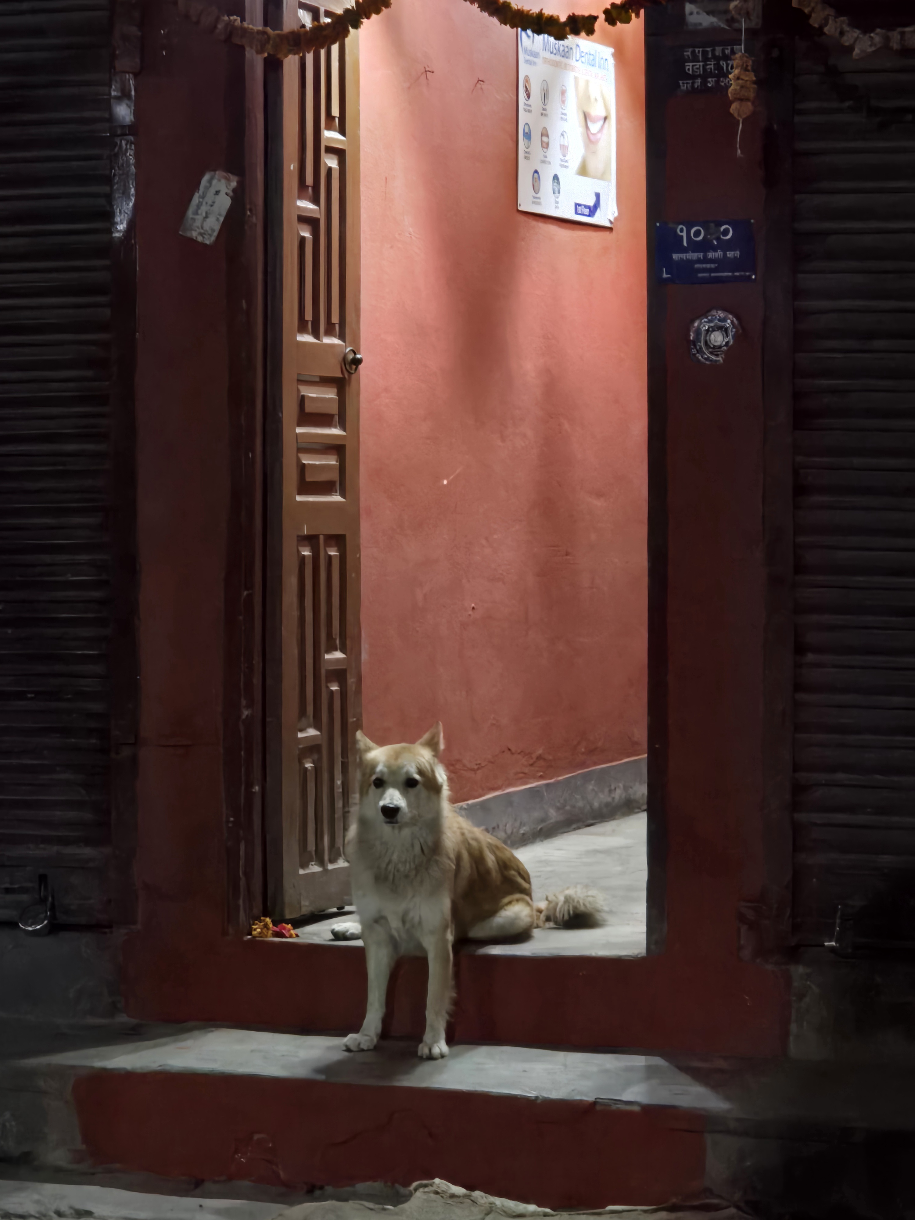 Exploring the Vibrant Streets of Patan, Kathmandu
