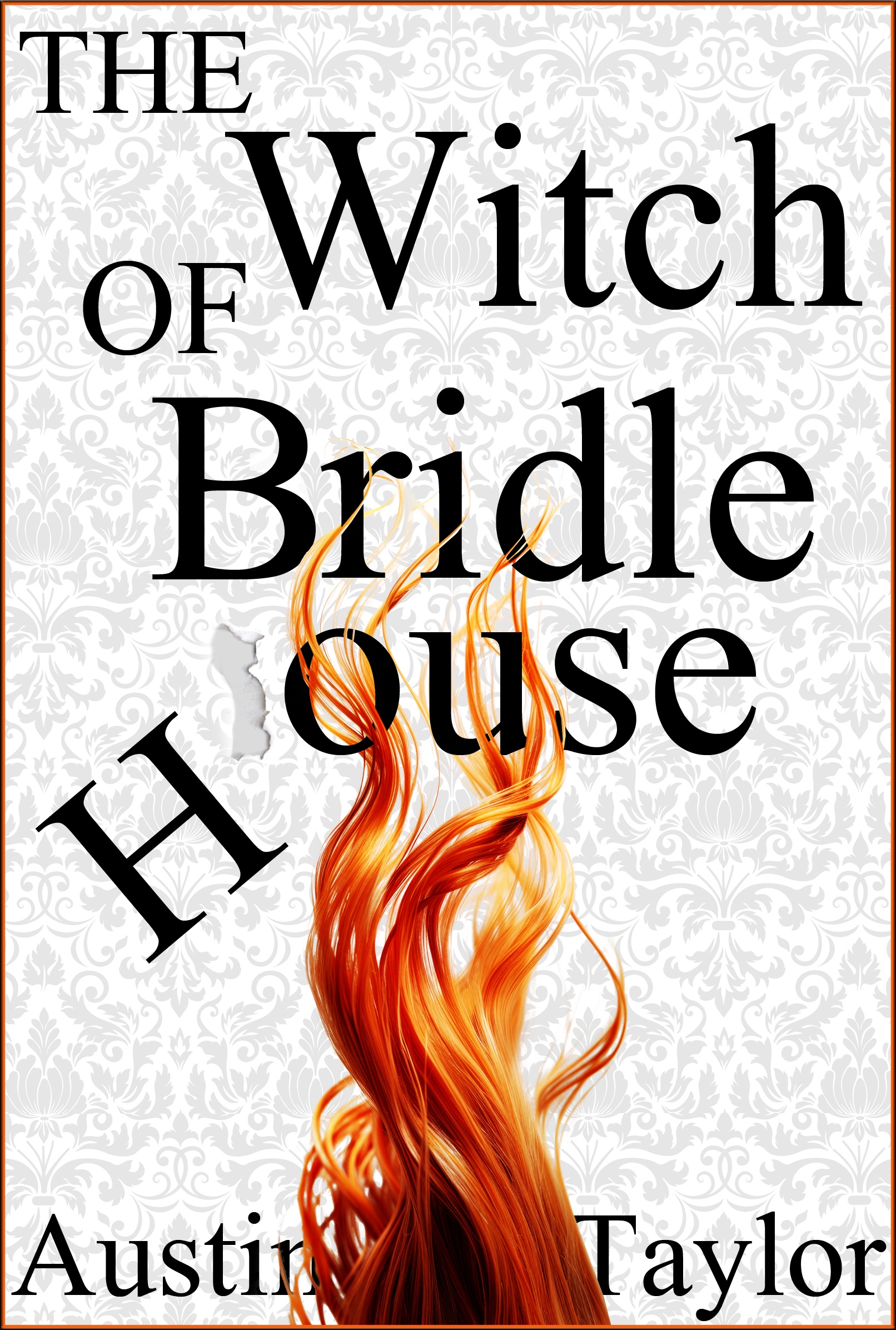 Check Out My Book Cover Design!