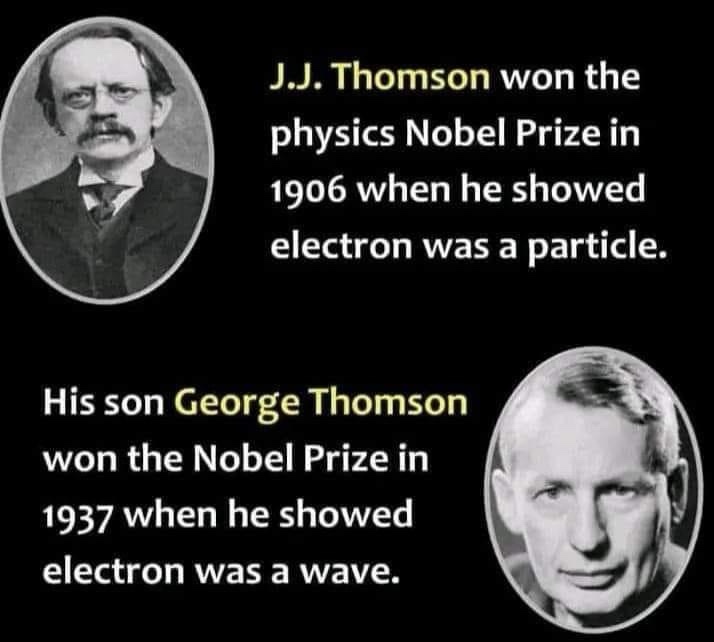 Clarifying the Nature of Electrons: Neither Wave Nor Particle