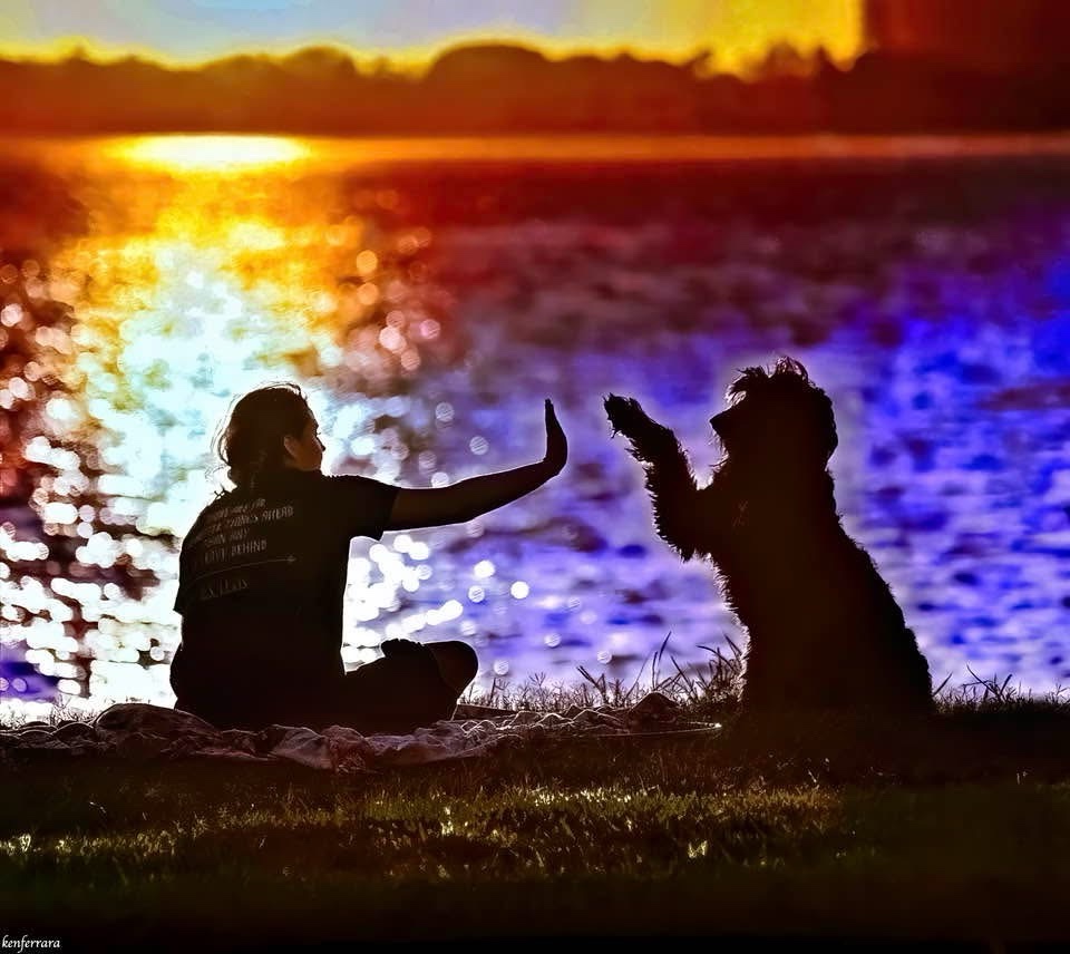 A triumphant high five moment!