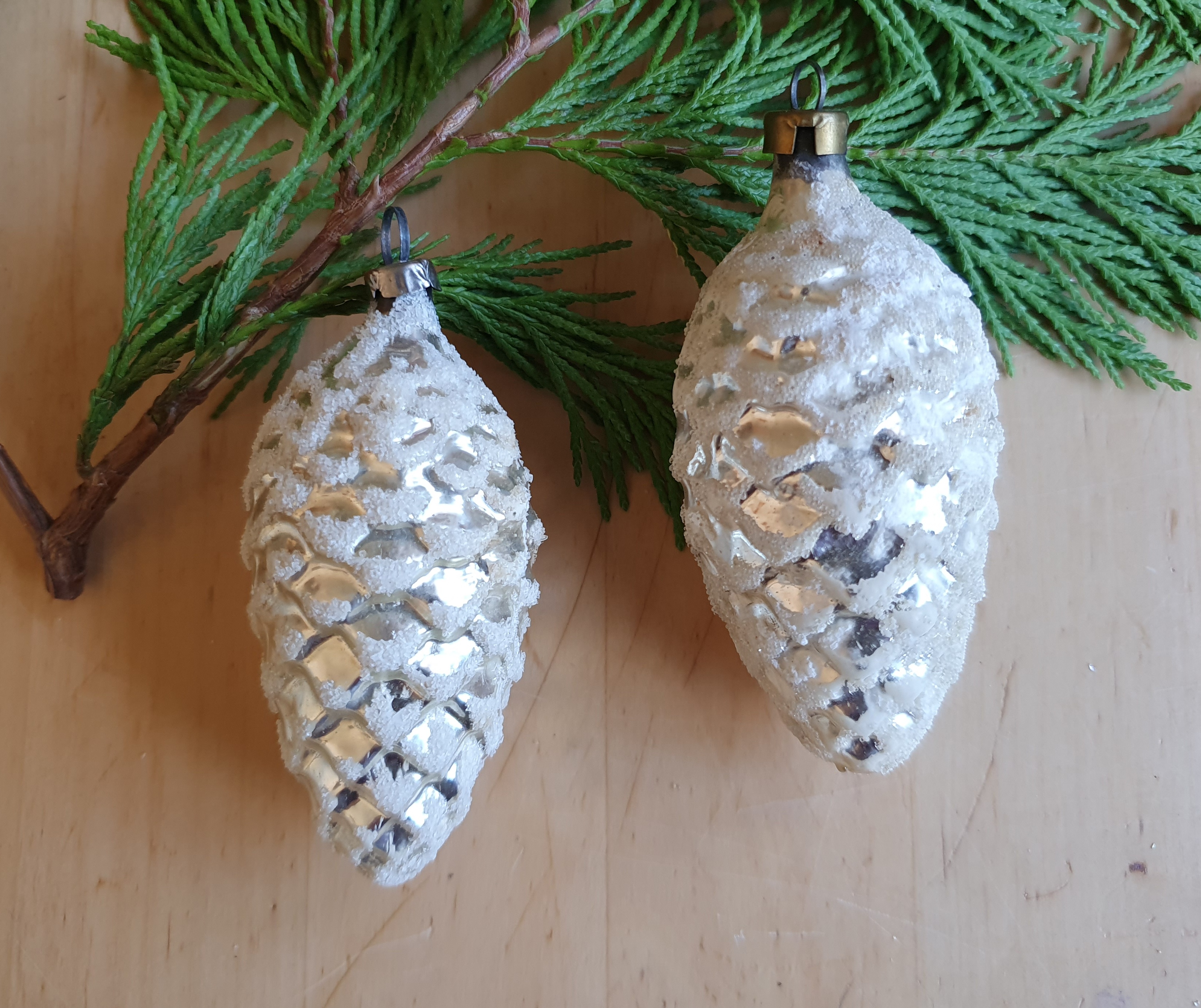The Fearless Team Pinecone