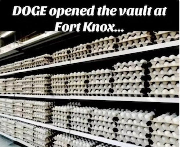 Doge Takes Over Fort Knox: The Ultimate Heist