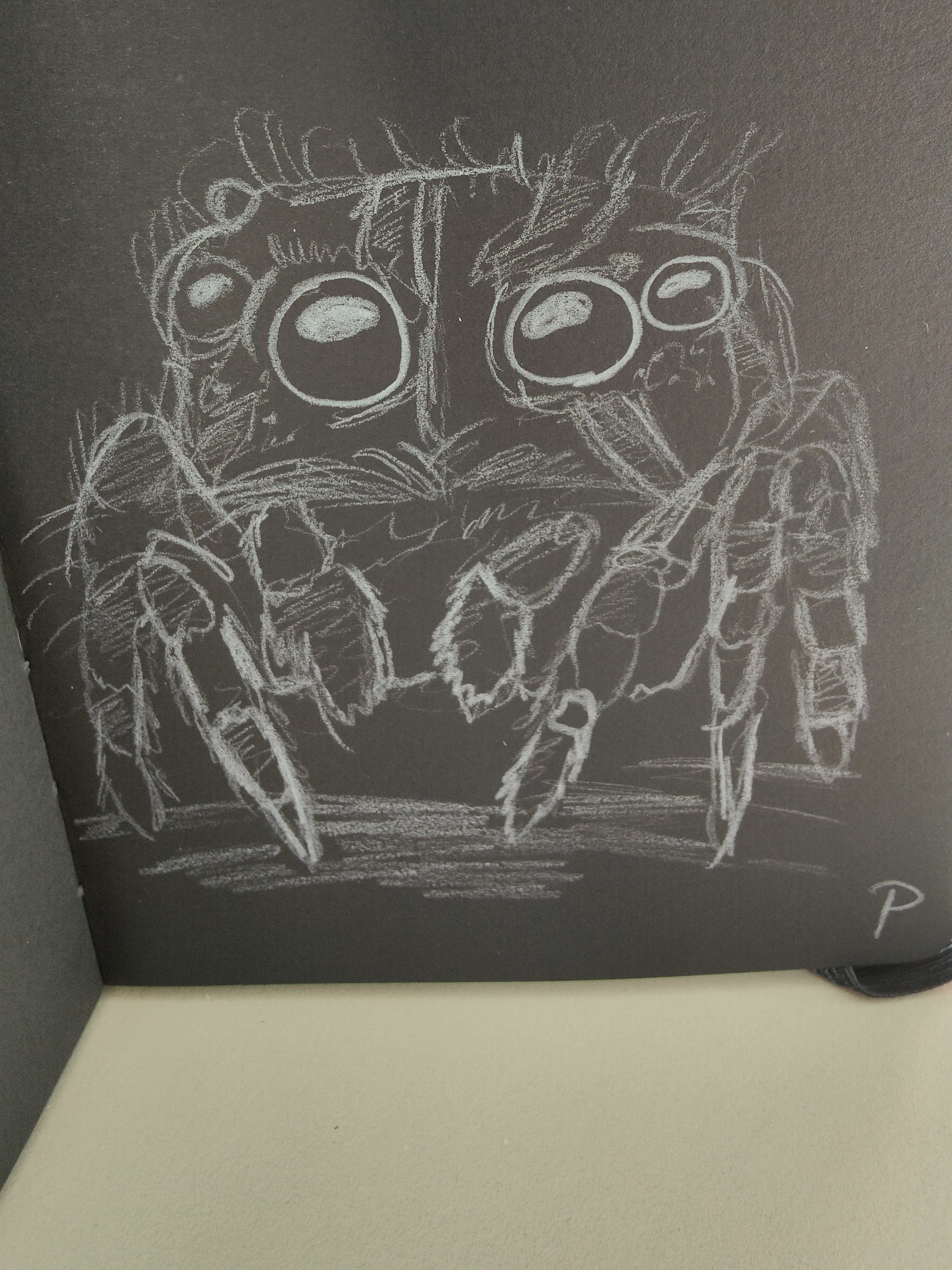 Adorable spider stealing hearts everywhere!