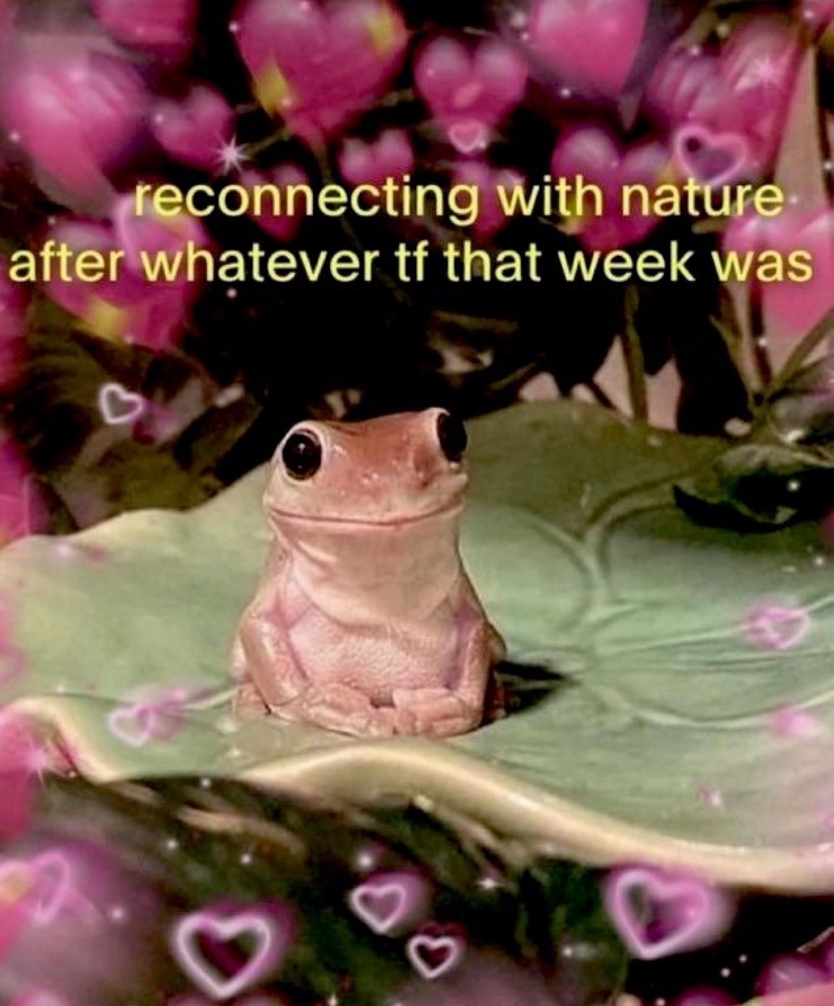 A Simple Ribbit