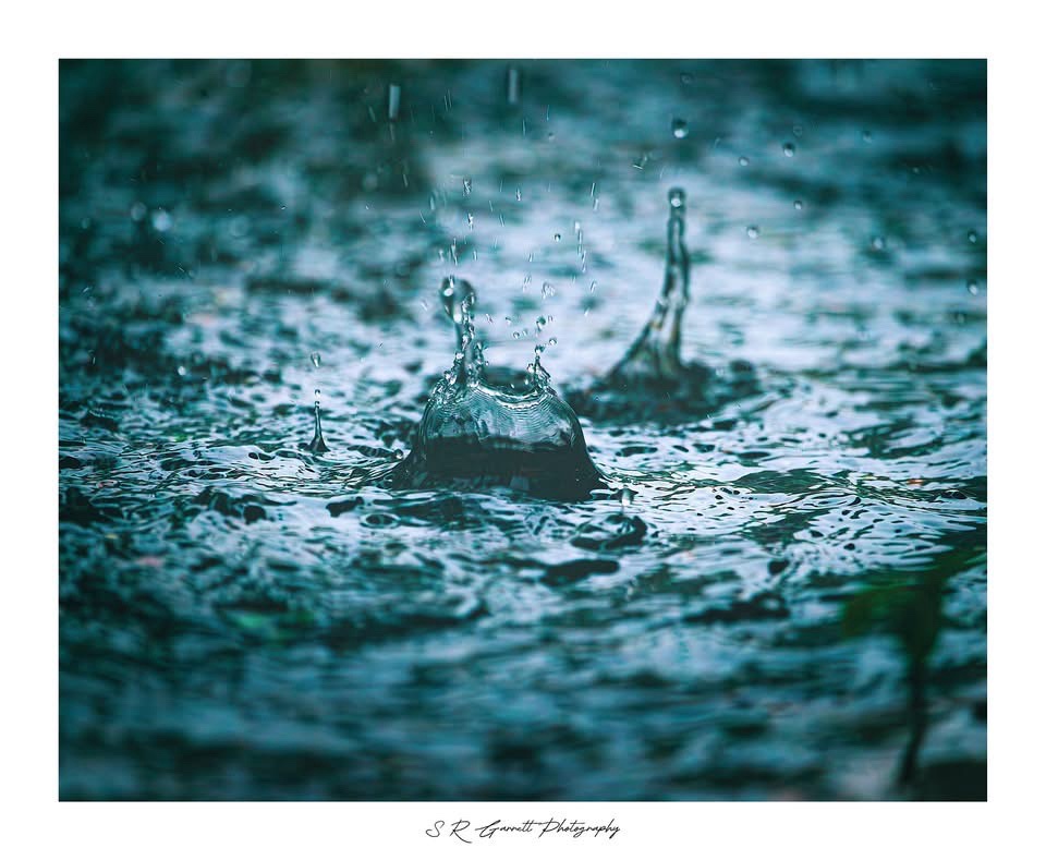 The soothing sound of raindrops falling
