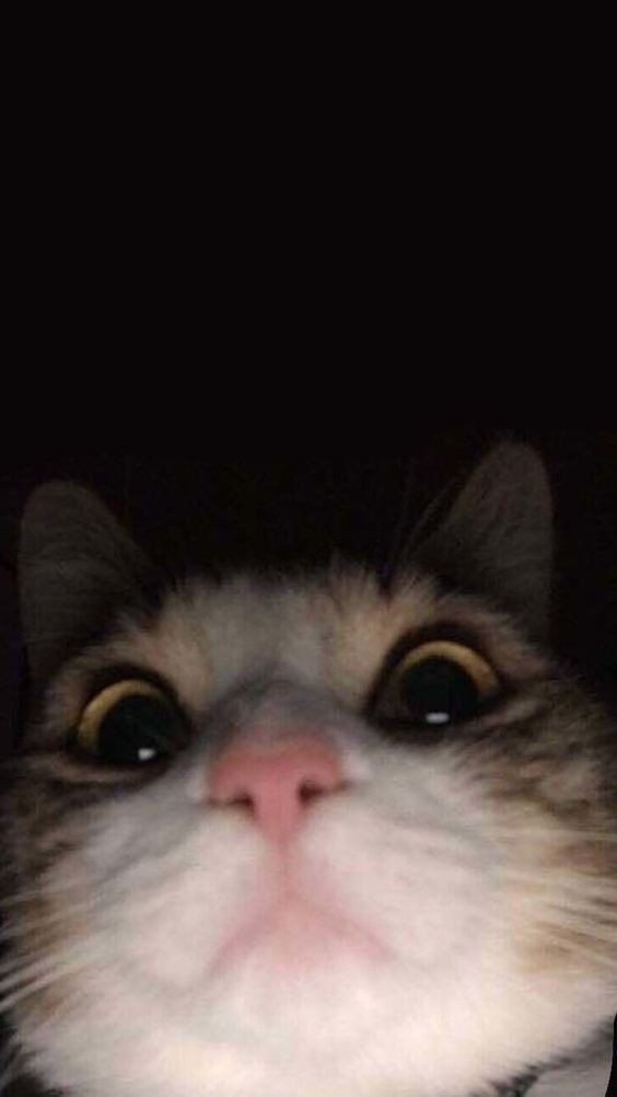 When you check your phone at 3 AM and it's a whole mood...