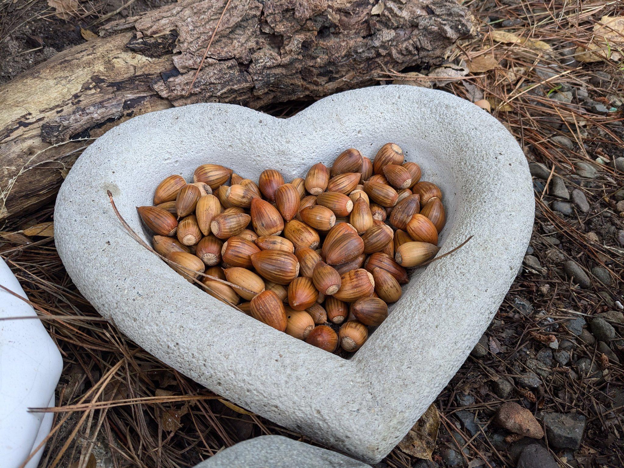 A love story featuring nuts