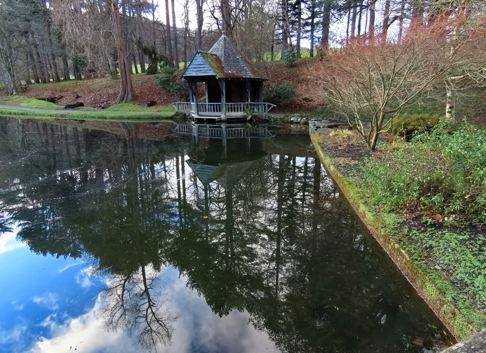 Captivating Reflections in the Water