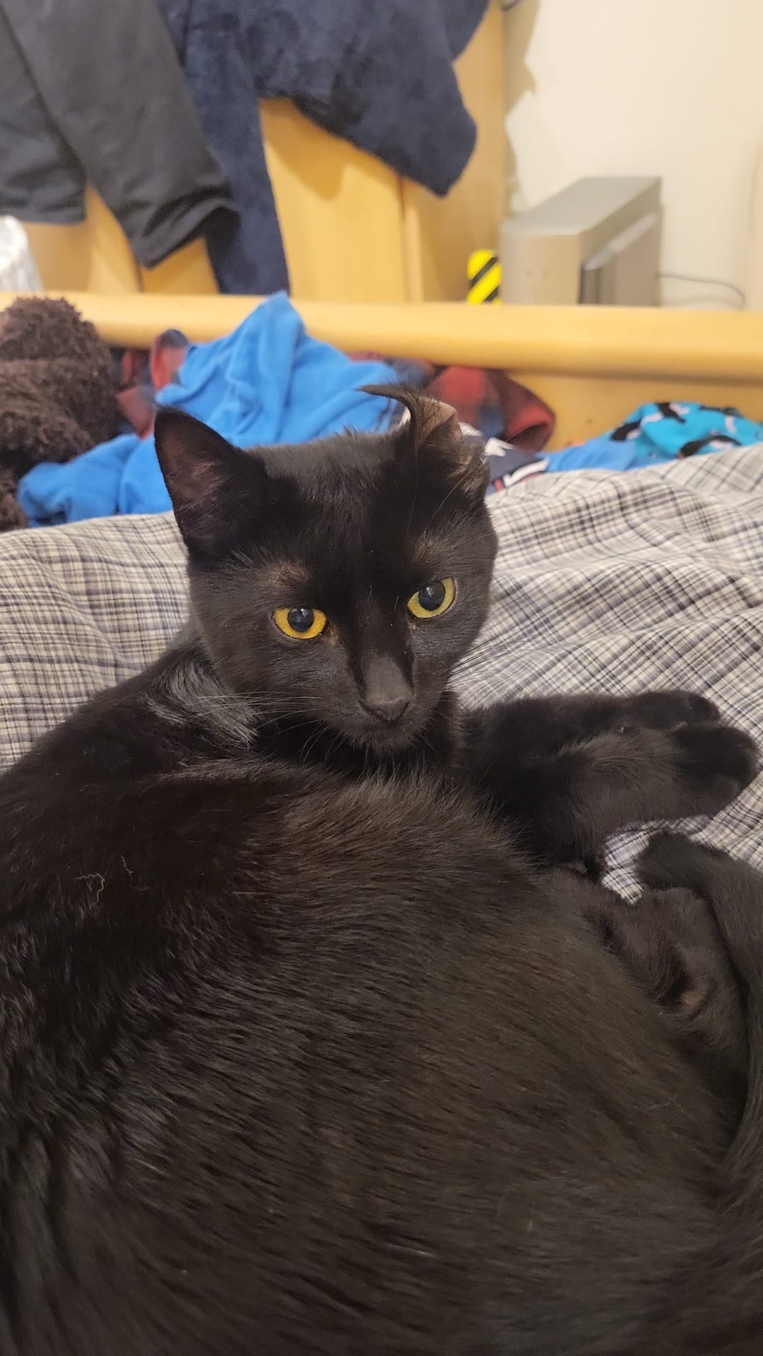 An Unexpected Ear Mishap: What Just Happened?