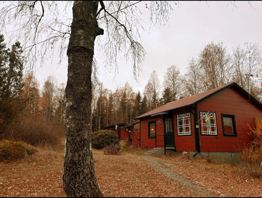 Embracing the cozy cabin vibes this autumn!