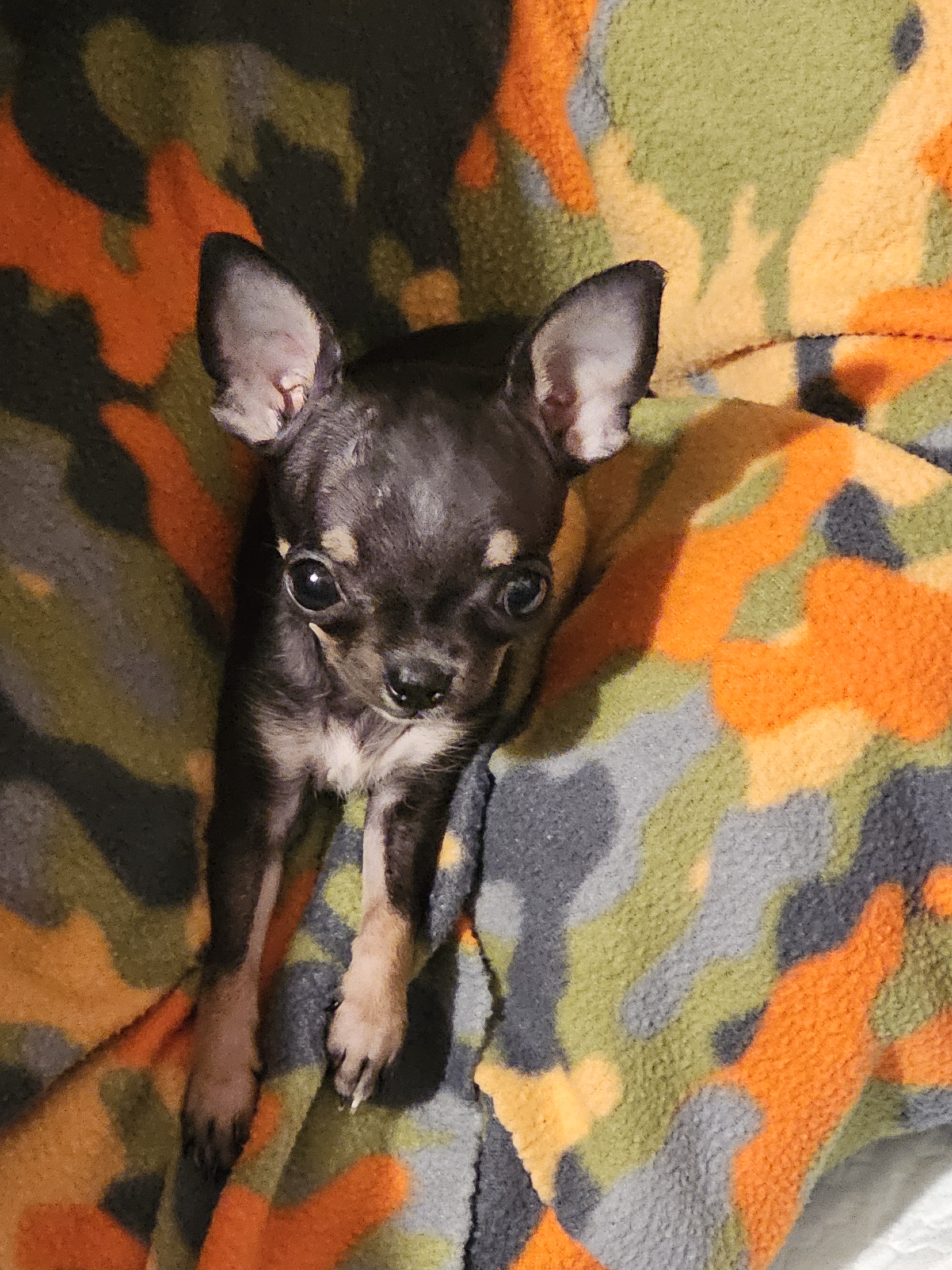 Inara's adorable morning routine: A wake-up call you can't resist!