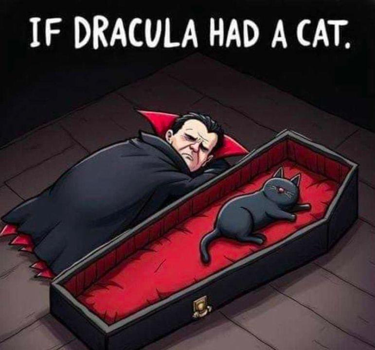 Just some casual cat chatter.