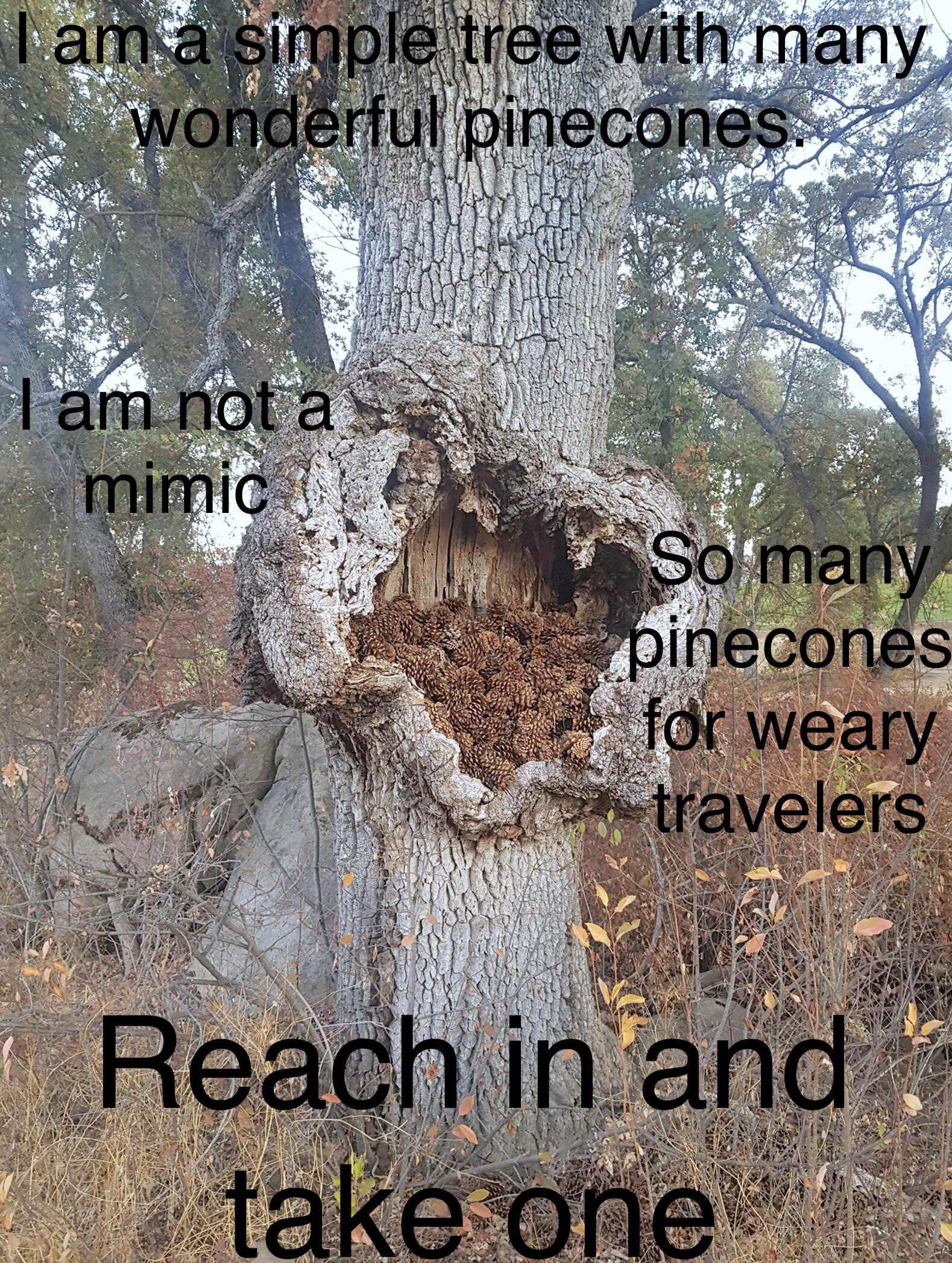 With This Pinecone, I Will Conquer the World!