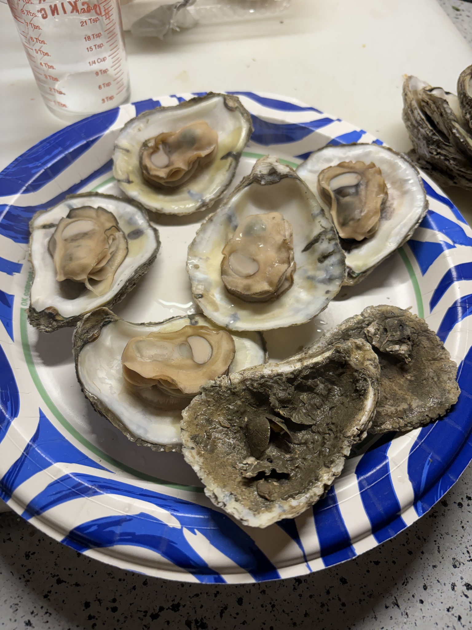 A Bluepoint Oyster Surprise: An Entire Ecosystem Inside