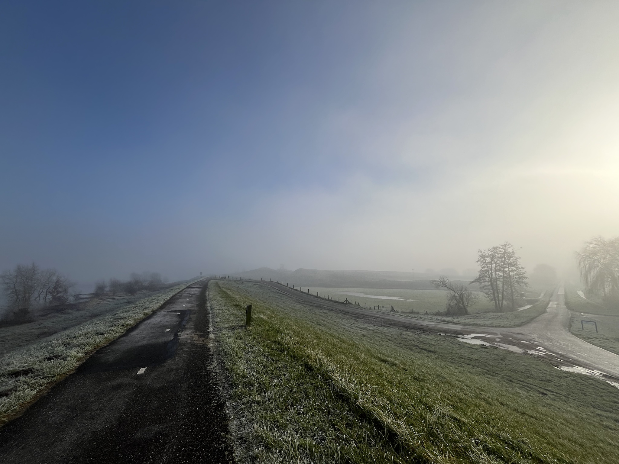 A misty morning in the beautiful Netherlands