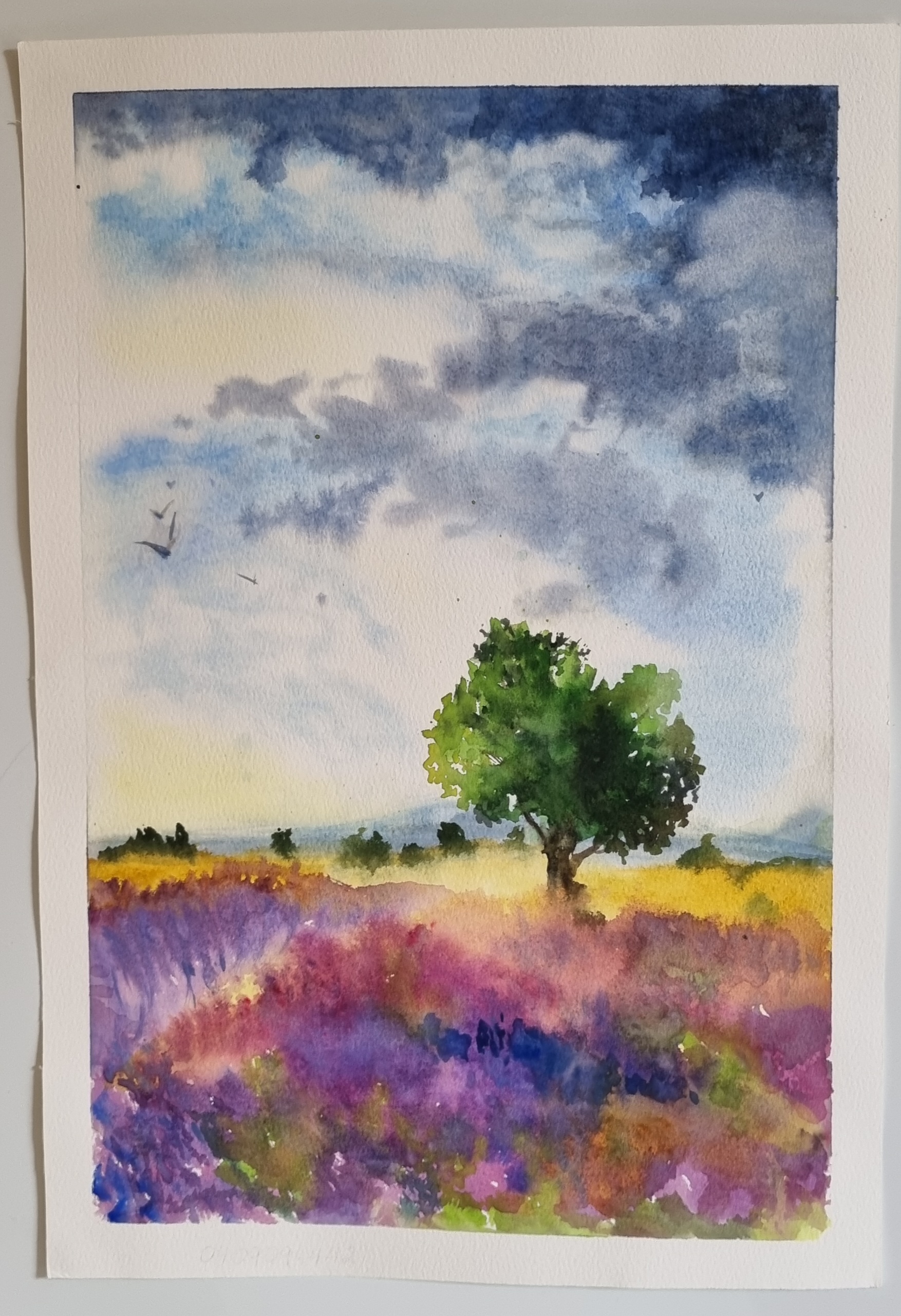 Lavanda: A Touch of Serenity