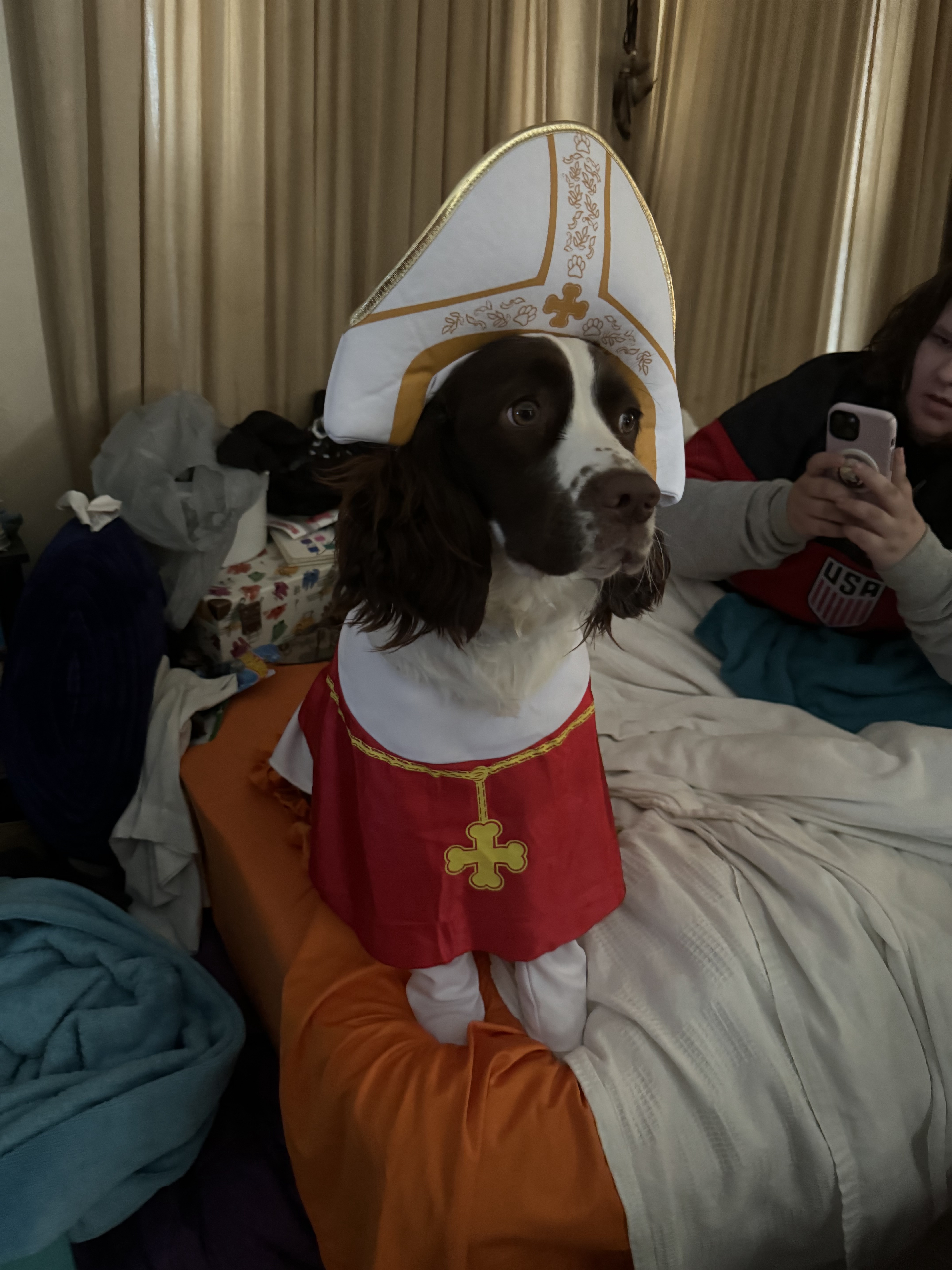 My dog rocking a pope costume