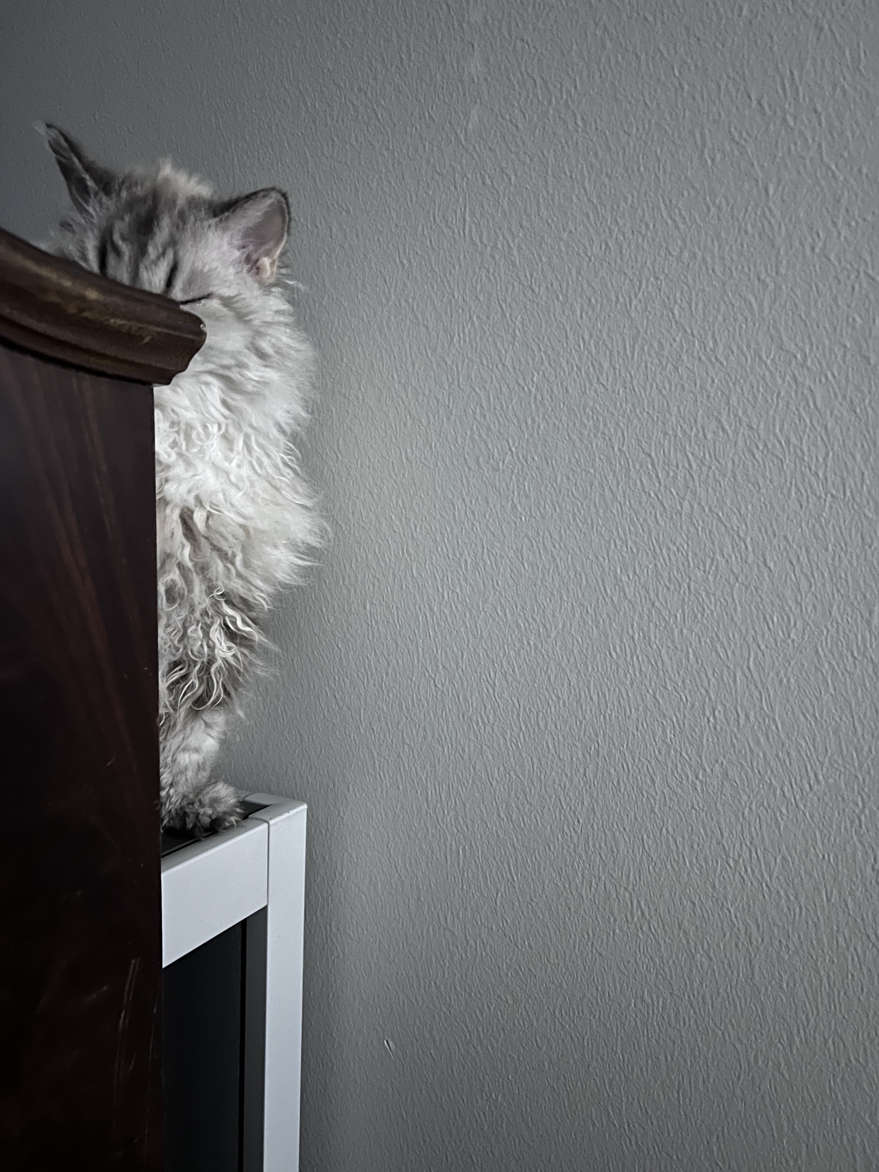 A fleeting moment captured: Blink and you miss it