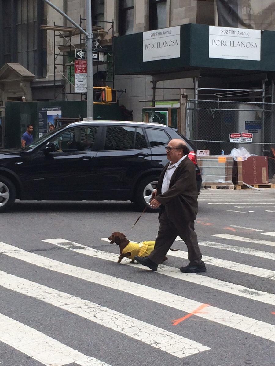 Danny DeVito and a Wiener Dog: A dynamic duo!
