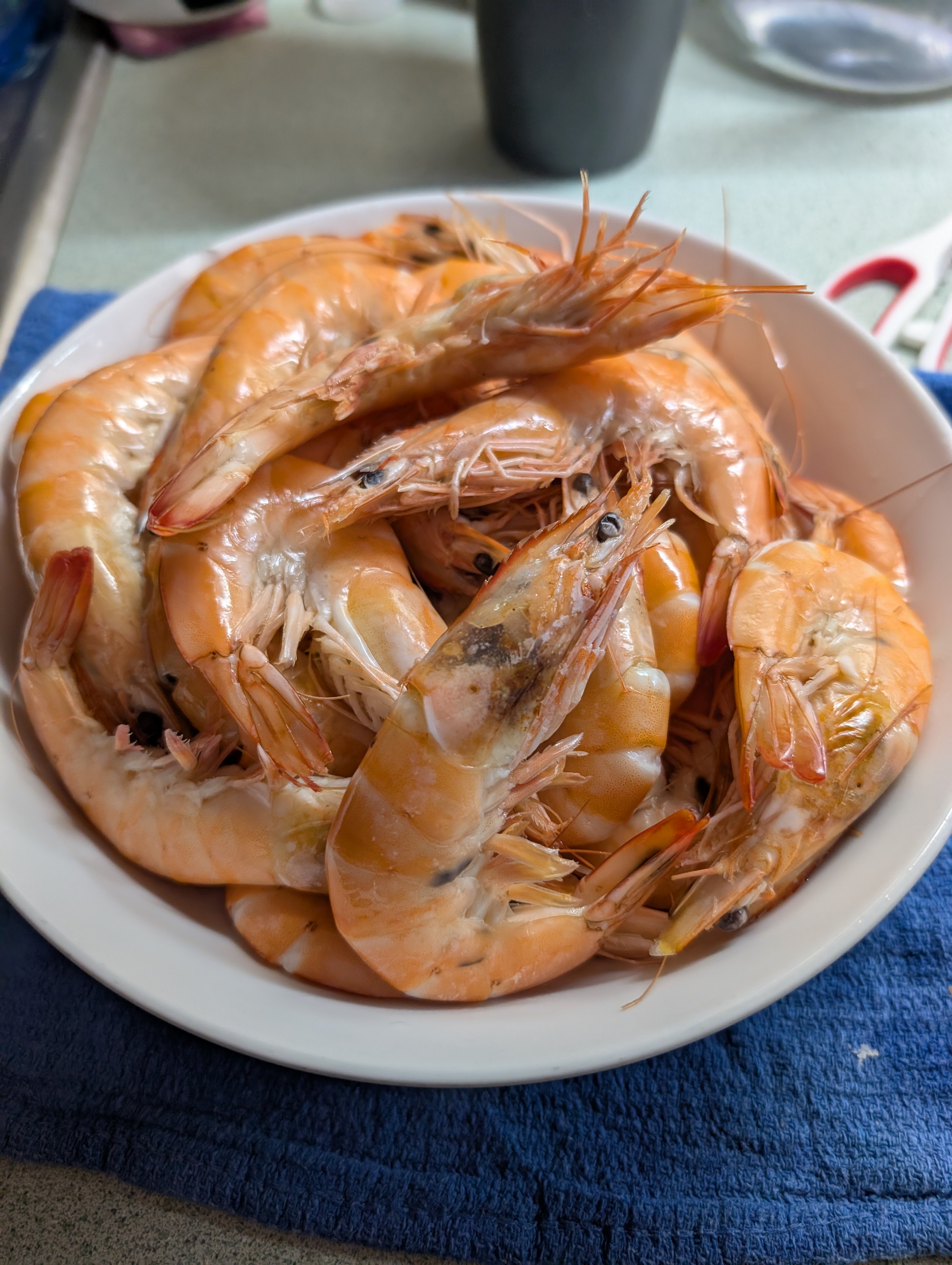 Prawns, anyone?