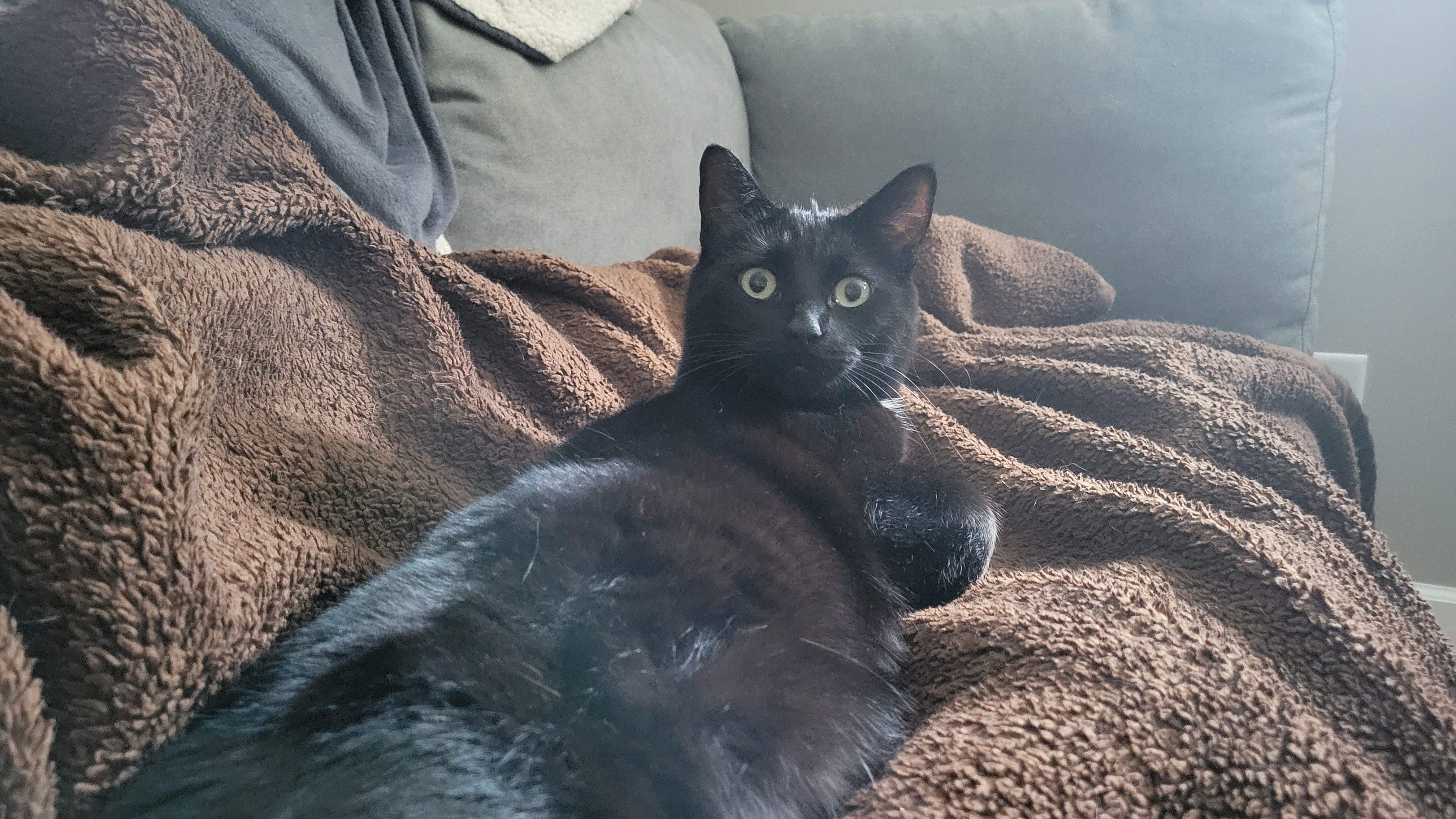 Meet Father Spooky Ortiz and Ambassador Lilith Von Scratchybutt