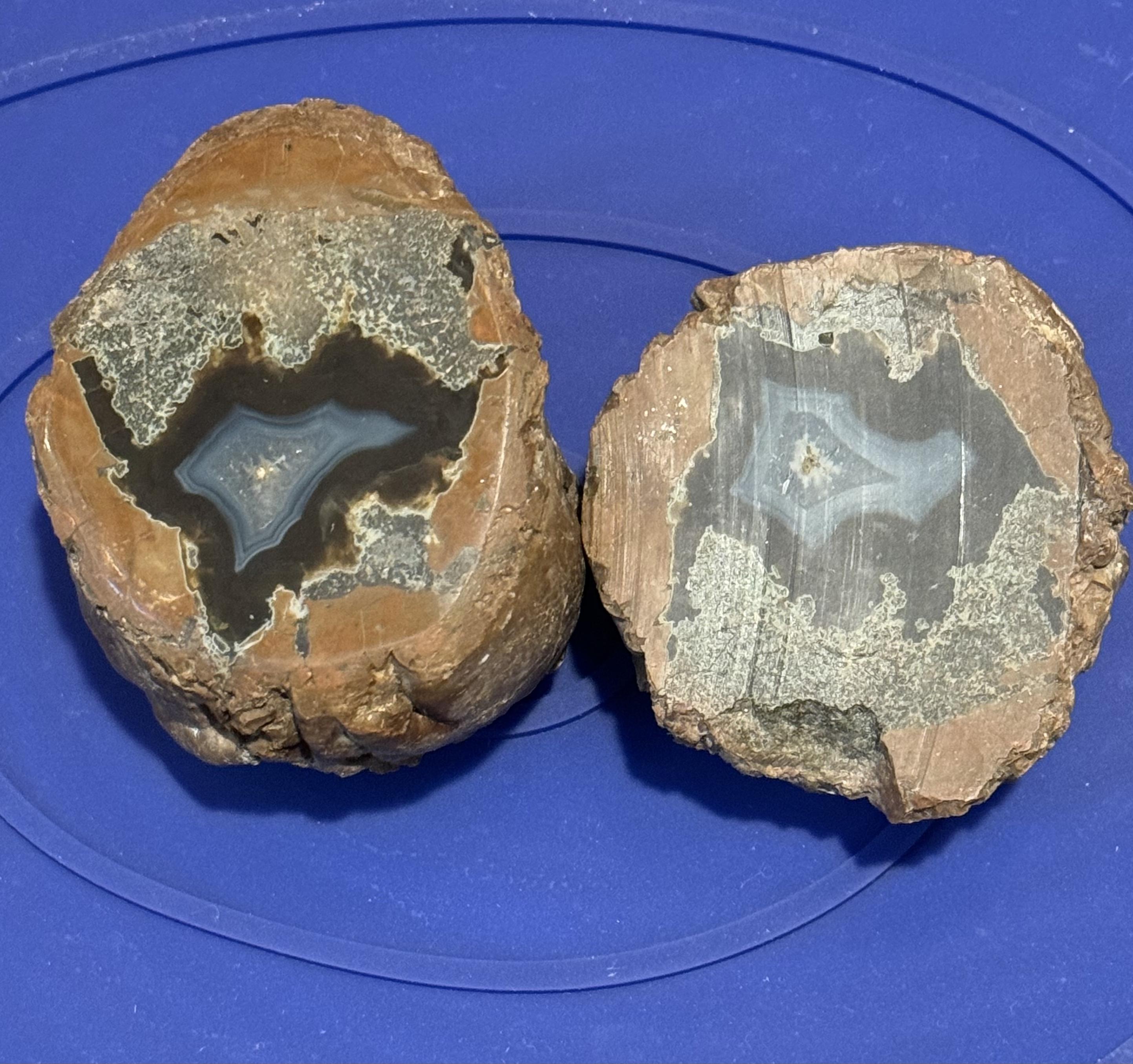 Mom's Treasured Rock Collection: A Glimpse into Nature's Wonders