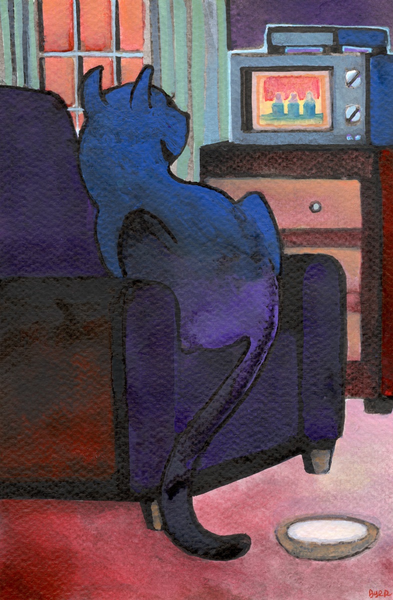 The Cat Who Can't Get Enough of Game Shows