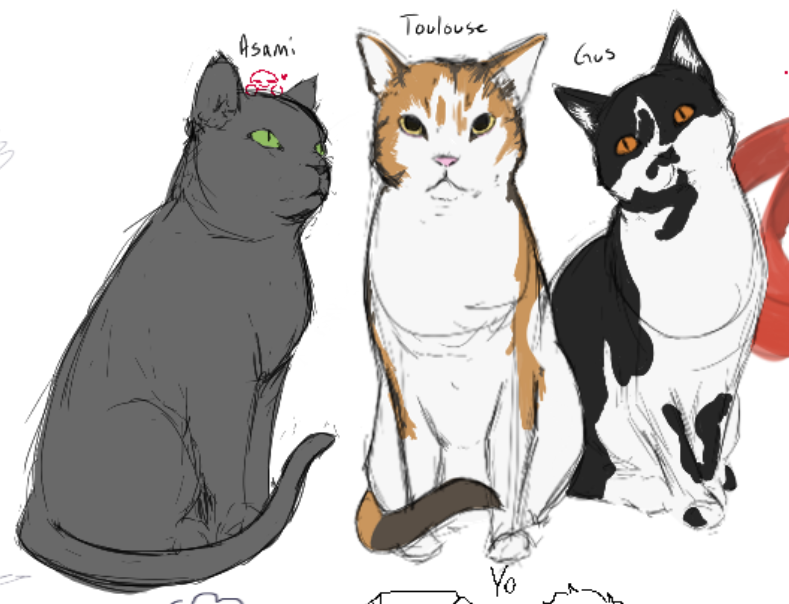 My Cats Bring All the Love!