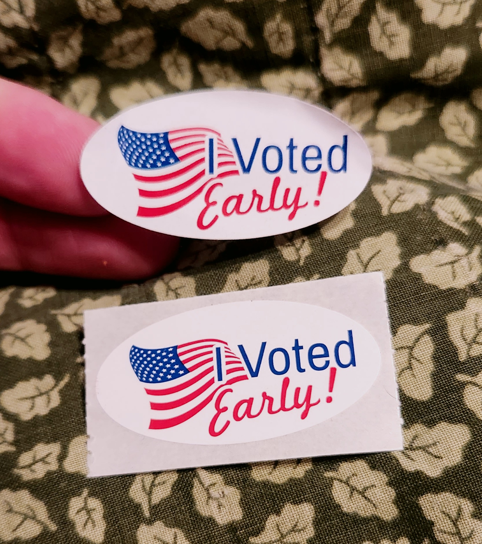 Confessions of a Voter Fraudster