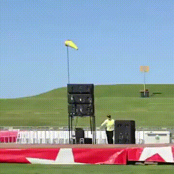 Incredible Jumping Skills on Display!