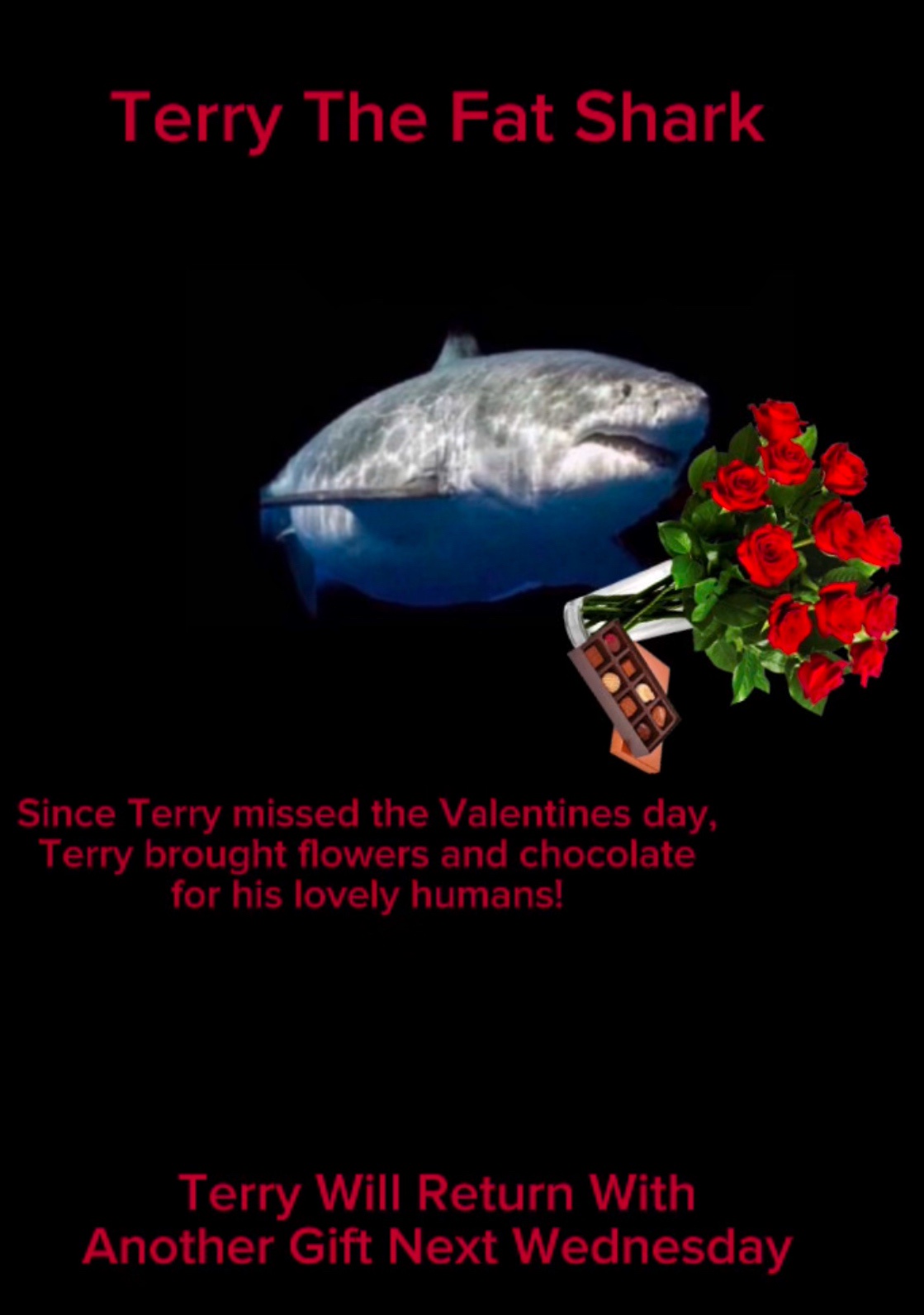 Terry's Delightful Wednesday Surprise!