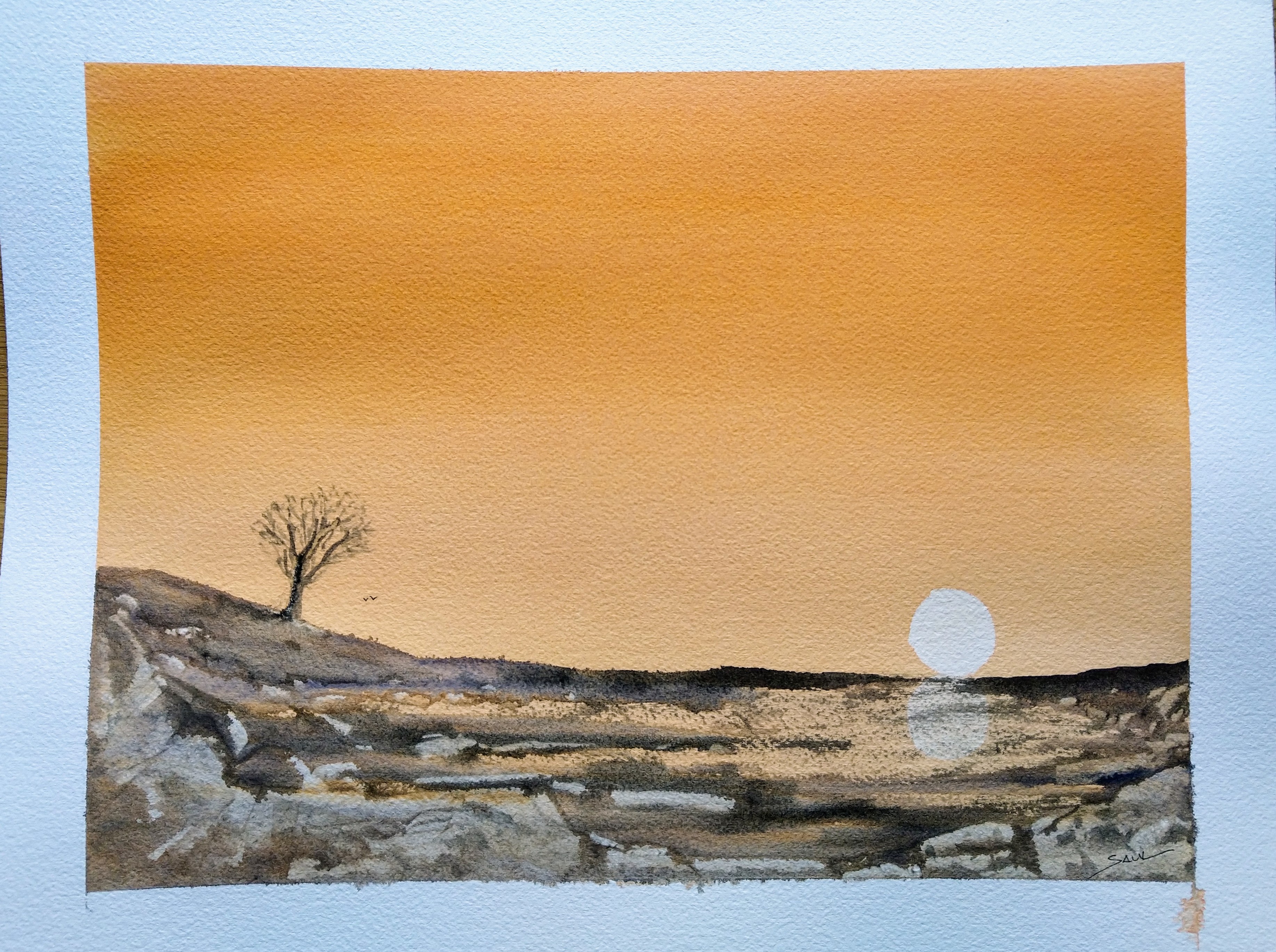 The solitary tree standing tall in the landscape.