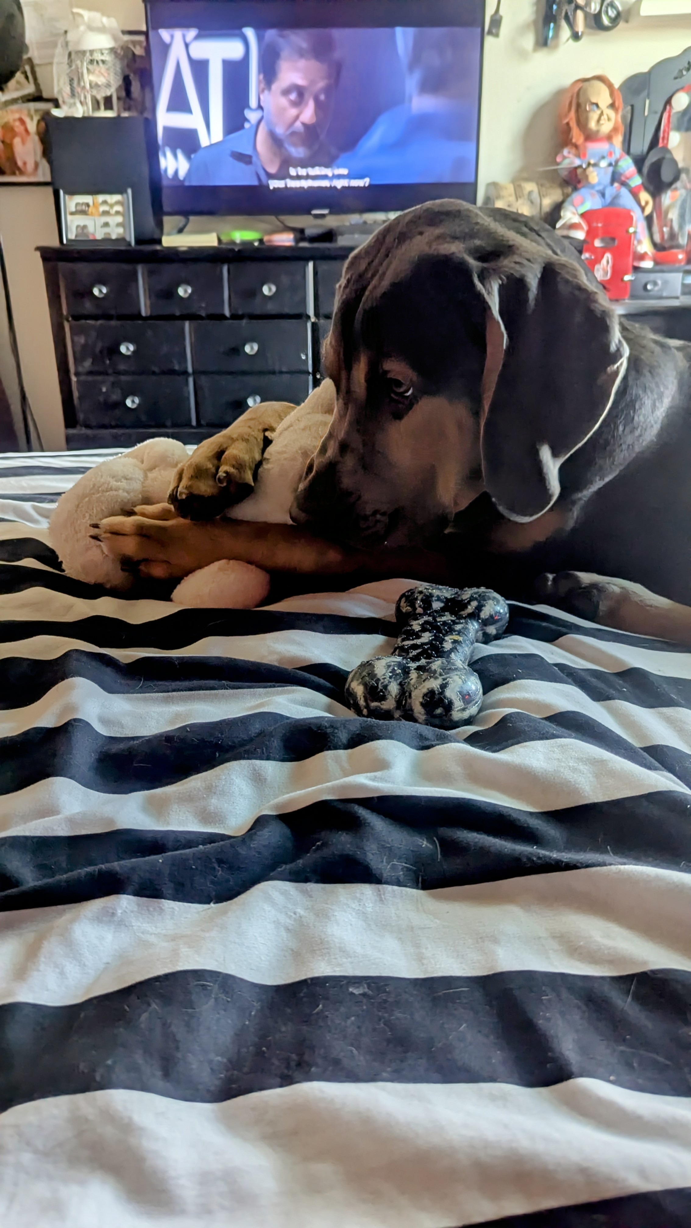 Meet the Happy Boy Spreading Joy