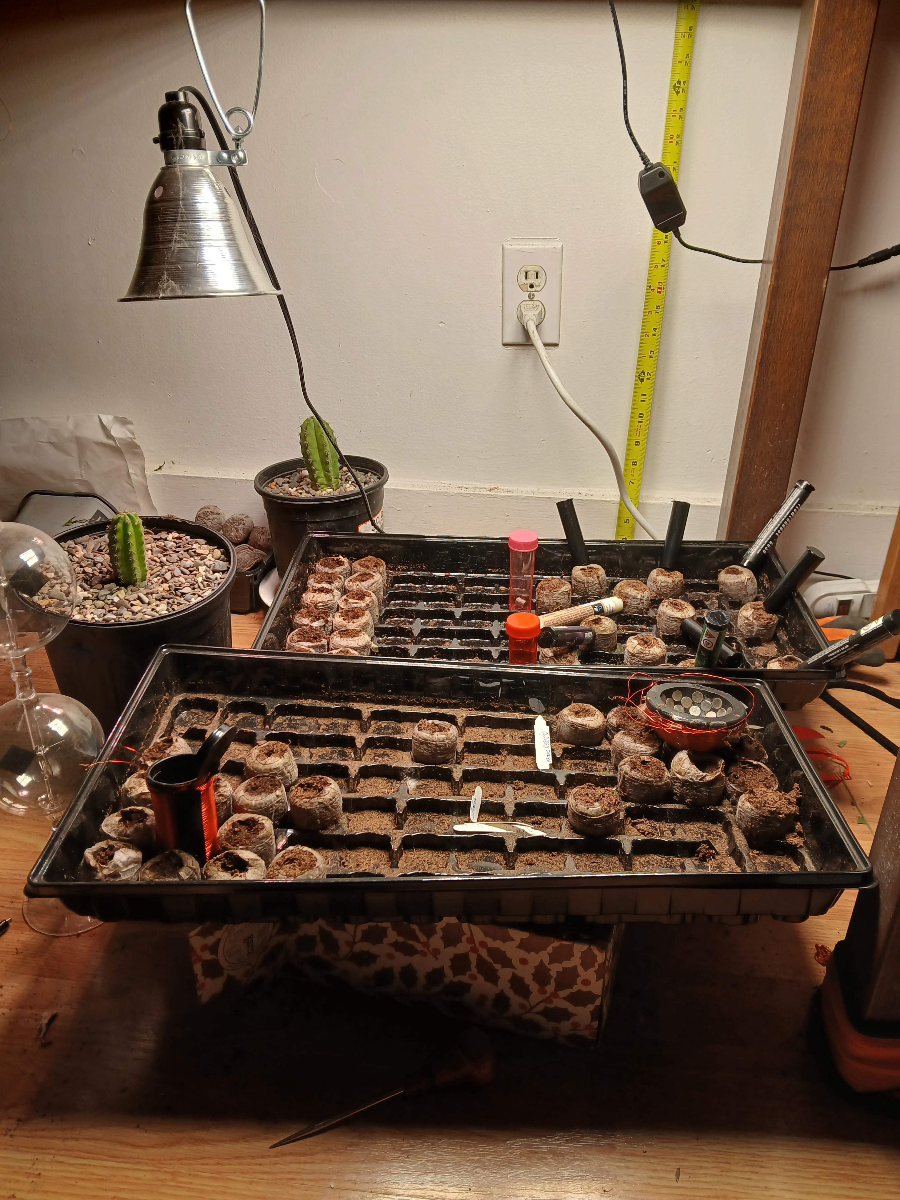 Experimenting with Magnetoculture in a Grow Box