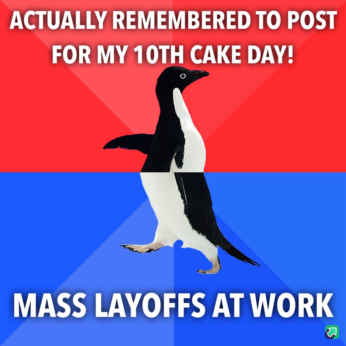 Not Quite the Cake Day Surprise I Expected