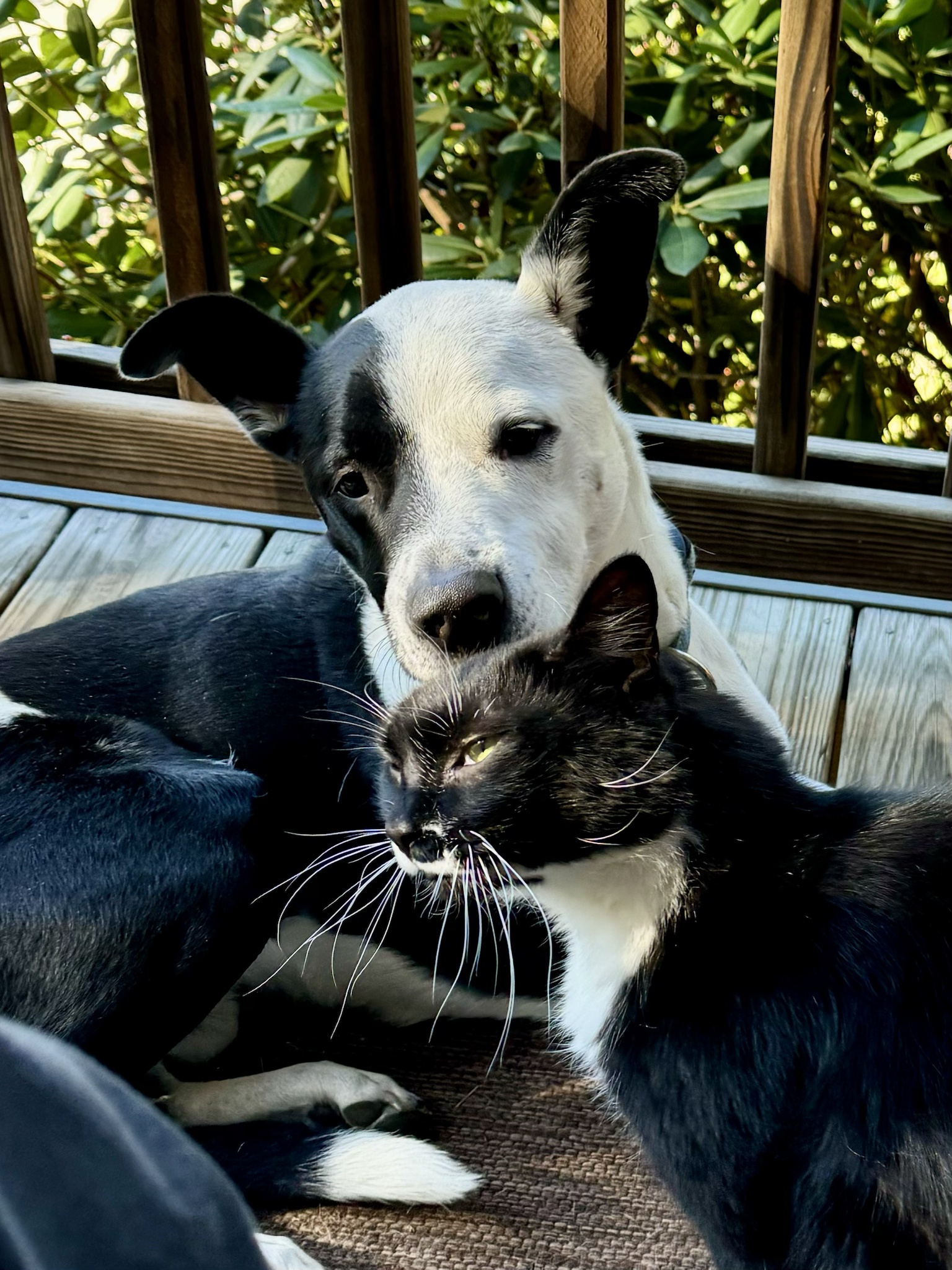 Holden delivers a surprise headbutt to Finn