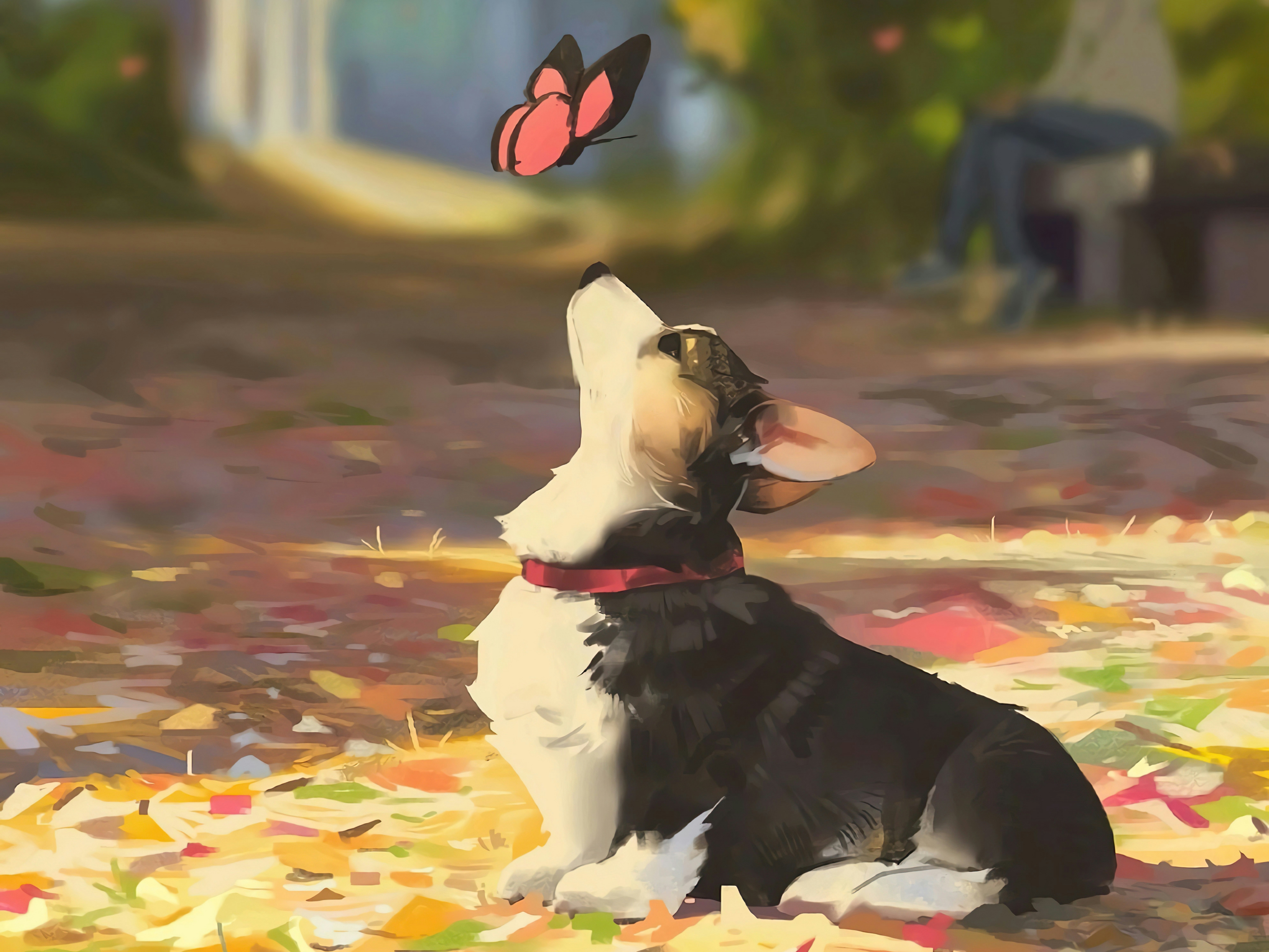 A delightful collection of Corgi wallpapers!