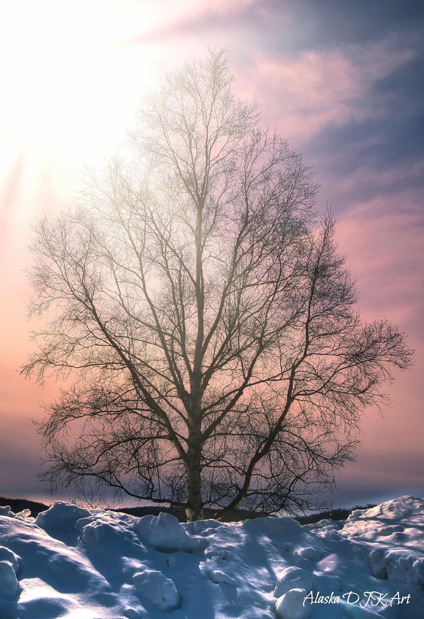 A Beautiful Winter Day