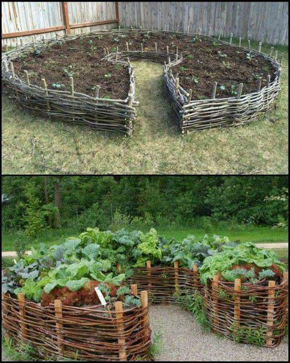 Check out this awesome garden idea!