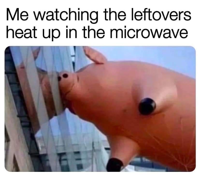 Celebrating the joy of leftovers day!