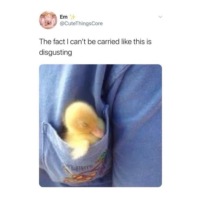 A Delightfully Wholesome Dumpity Dump