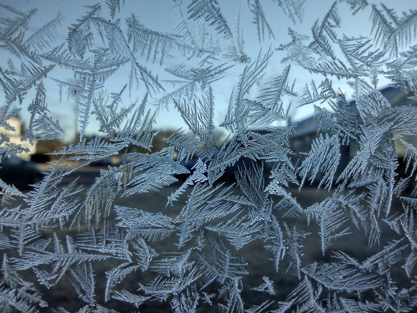 The icy artwork on my car window from July 14, 2024