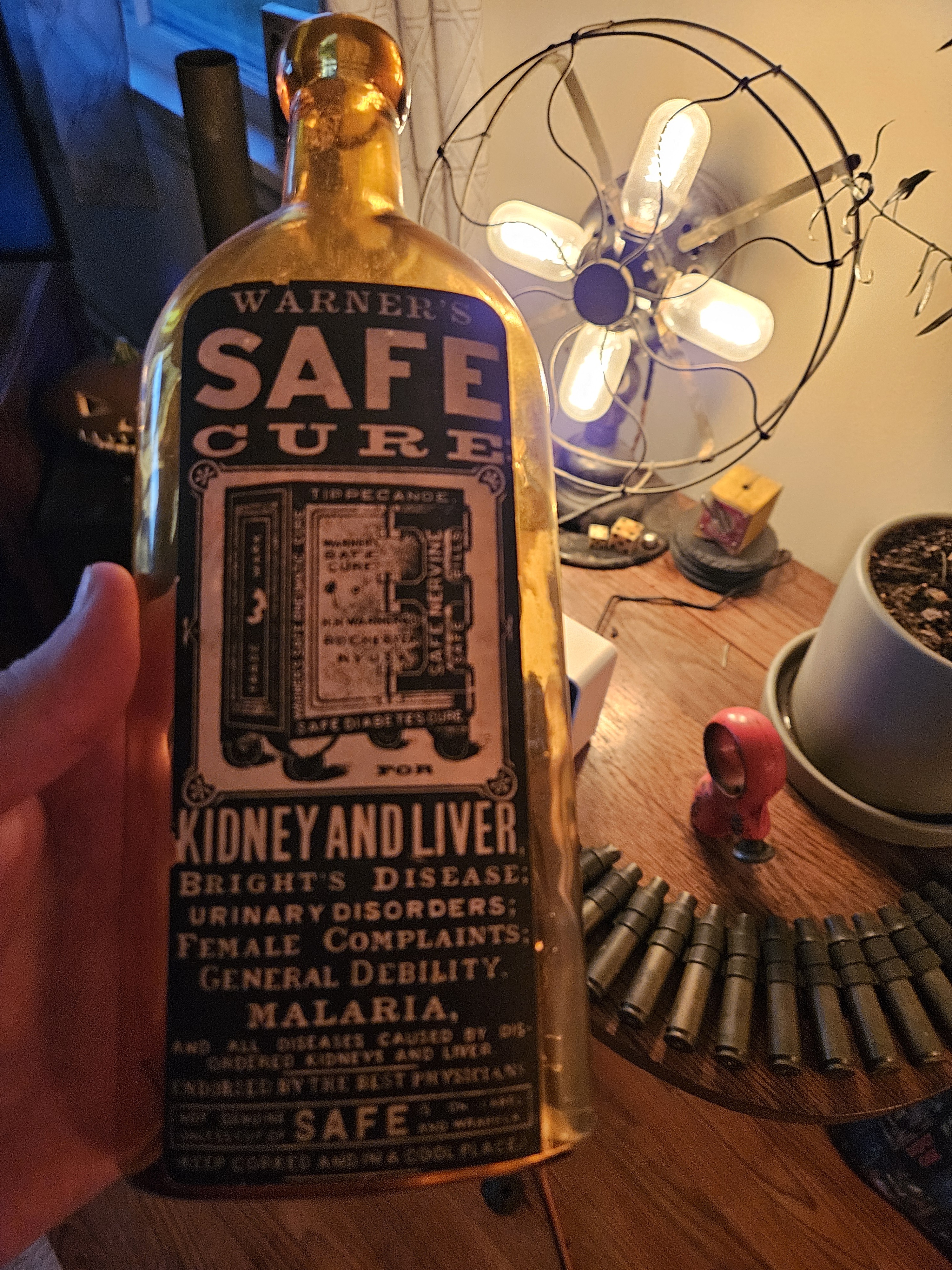 Discovered this vintage bottle from 1879—claims to cure 'female complaints.' Is it just me, or could it be meth?