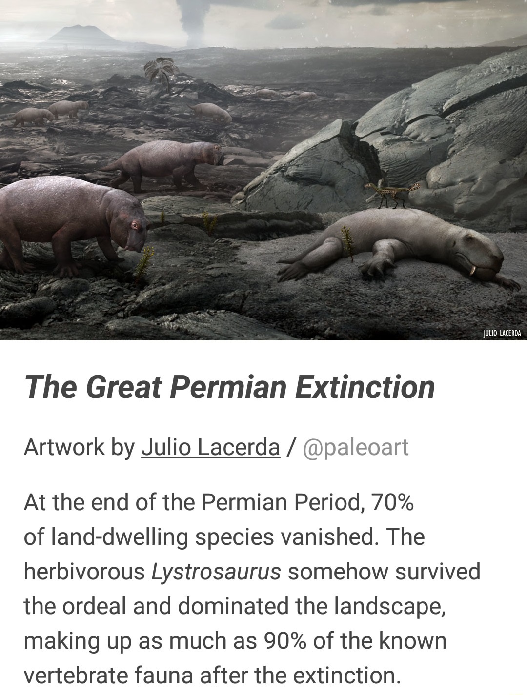 Meet the Most Successful Animal You've Probably Never Heard Of