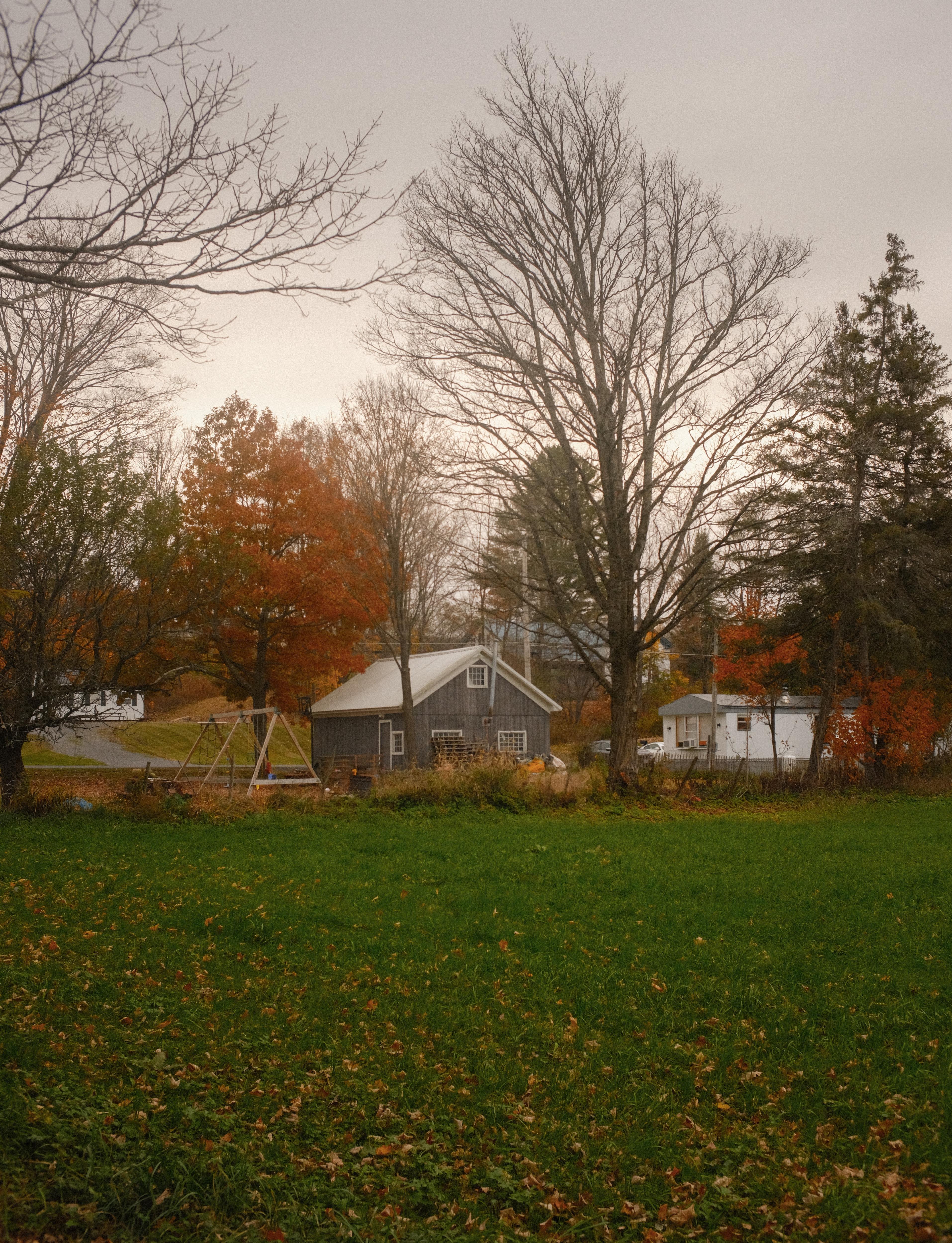 Witness the fading beauty of Lewis County's autumn colors
