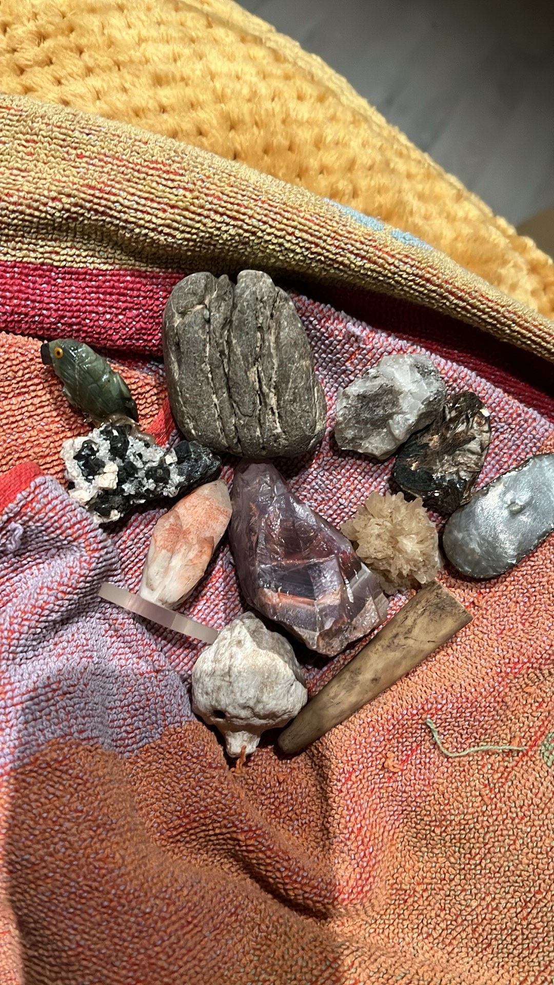 My collection of stones and bones