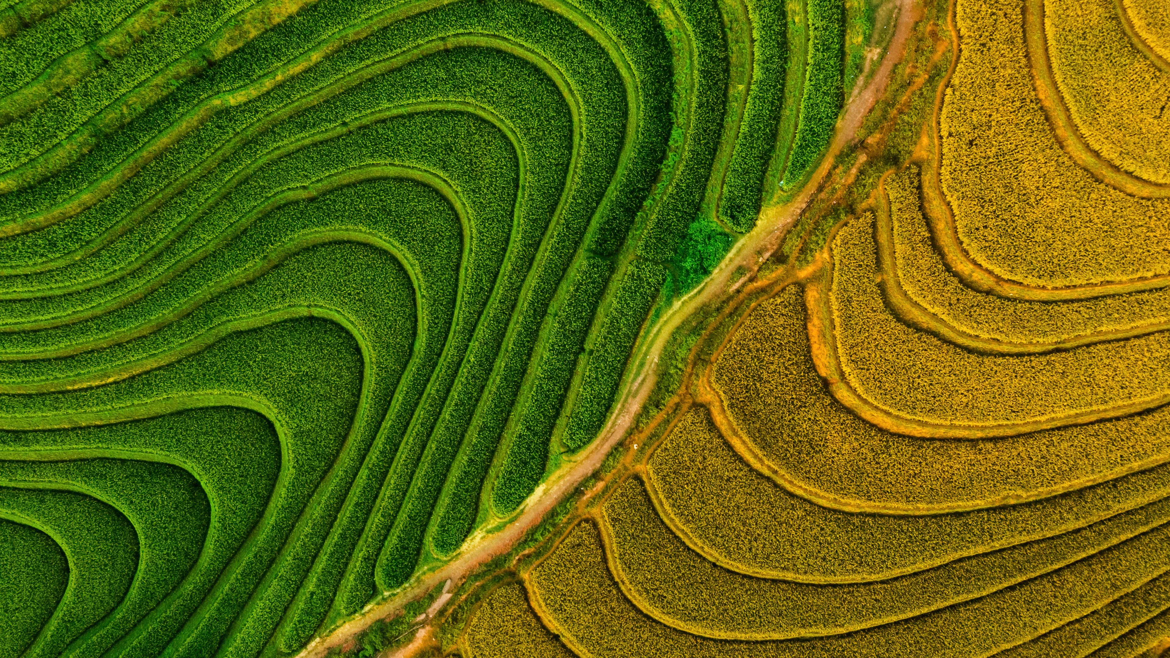 Exploring the Charm of Two-Tone Terraces