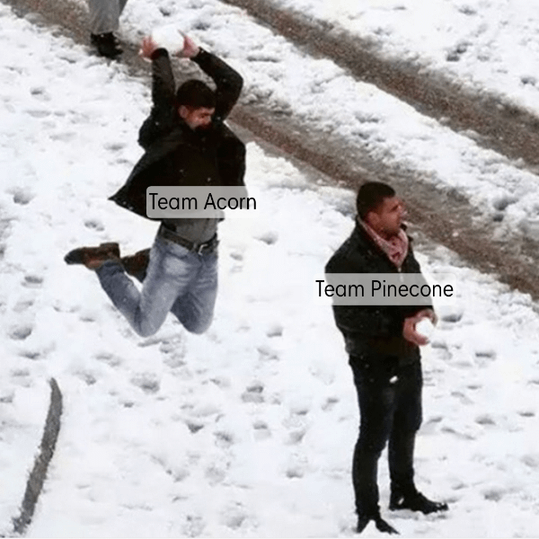 Let's Go Team Acorn!